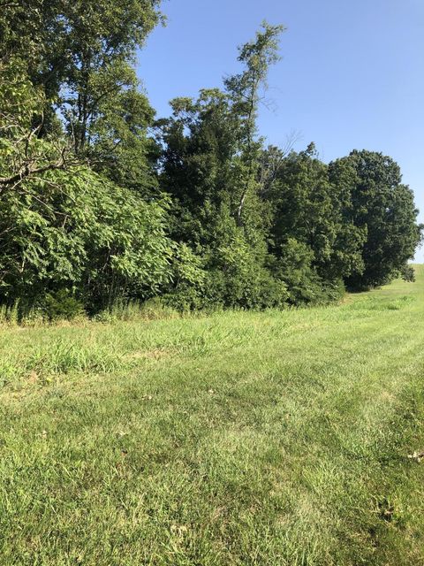Photo #4: Lot 43 Chimney Top Lane