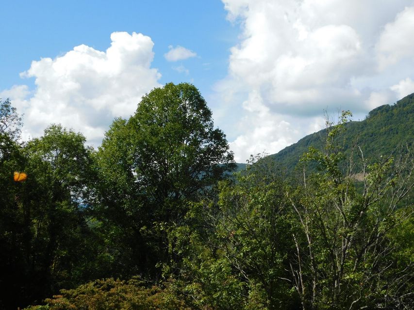 Photo #5: 3500 Glen Echo Drive