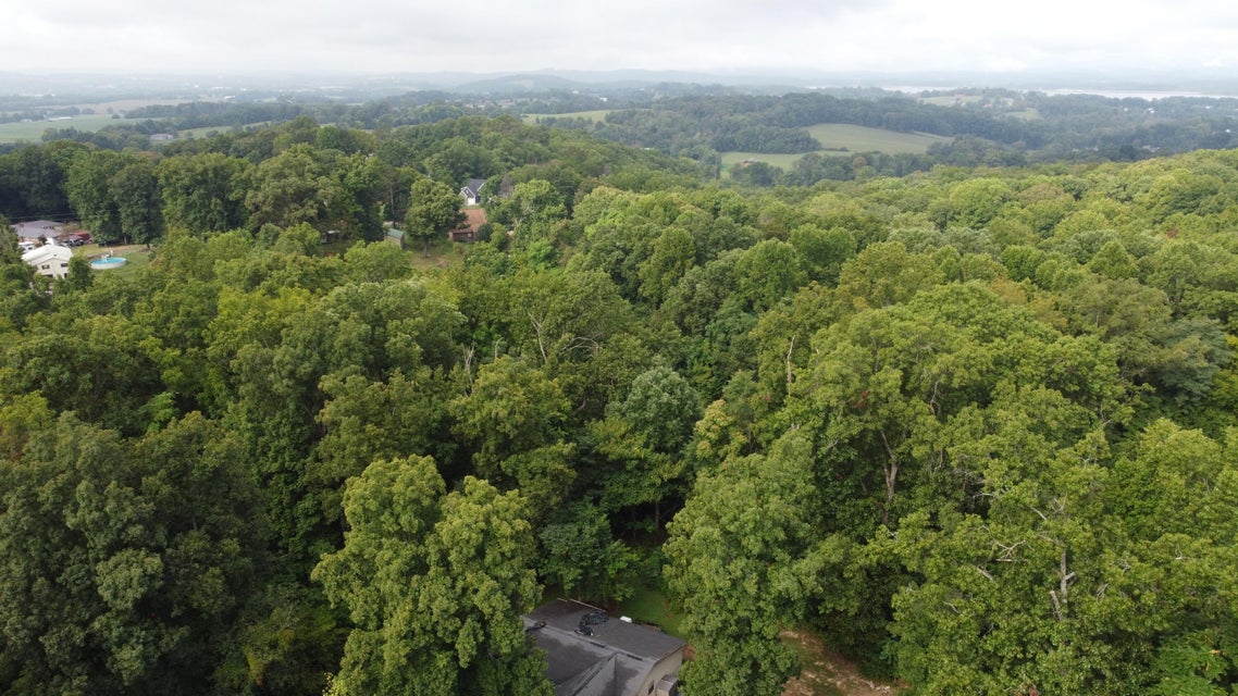 Photo #10: 895 Ronald Drive