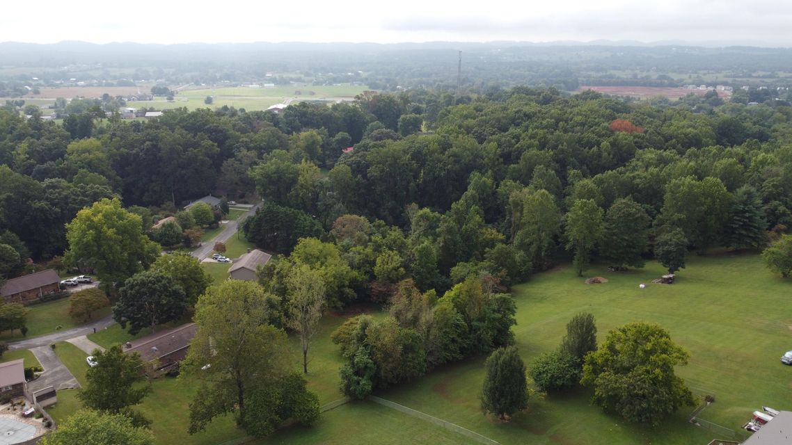 Photo #12: 895 Ronald Drive