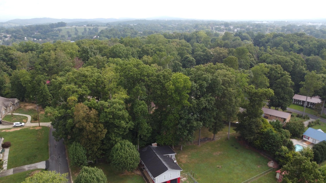 Photo #14: 895 Ronald Drive