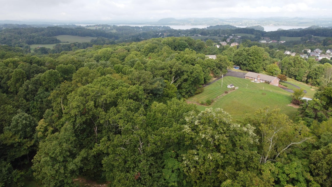 Photo #17: 895 Ronald Drive