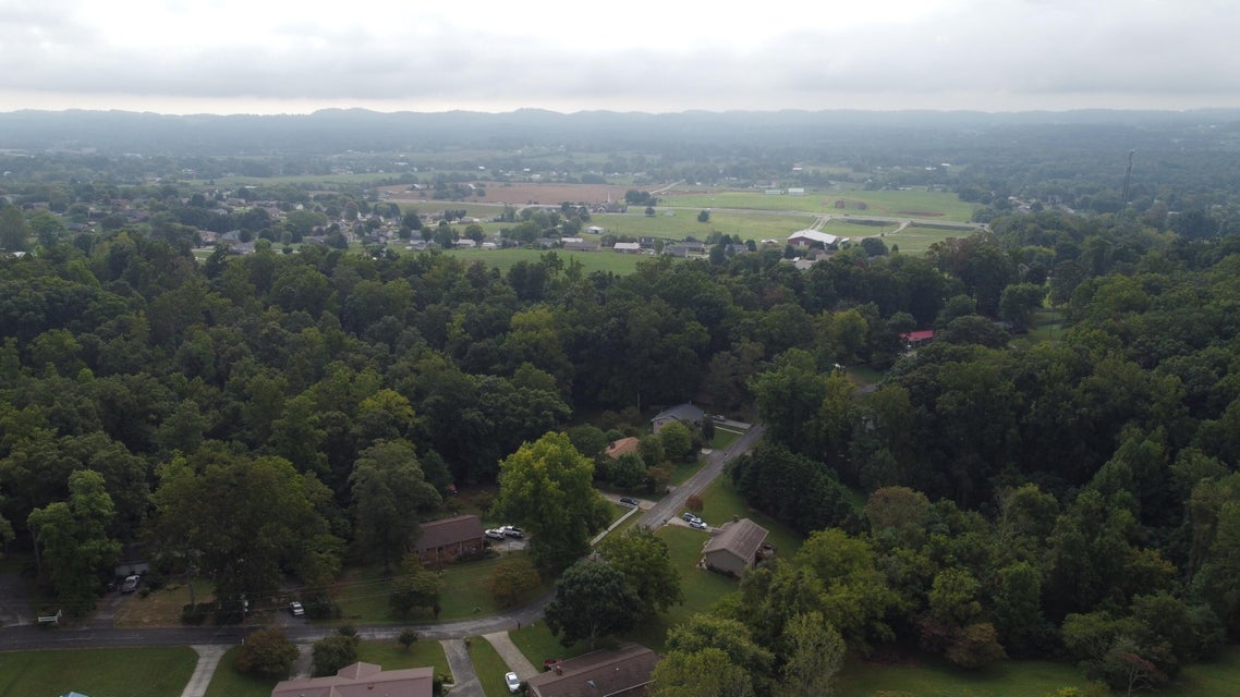 Photo #21: 895 Ronald Drive