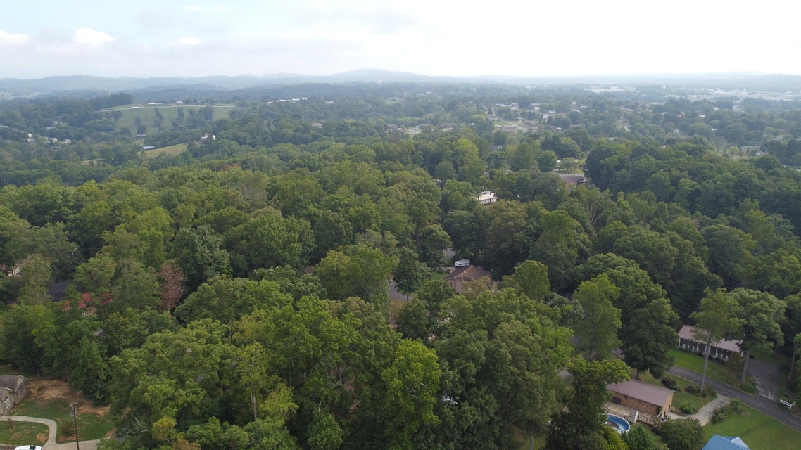 Photo #22: 895 Ronald Drive