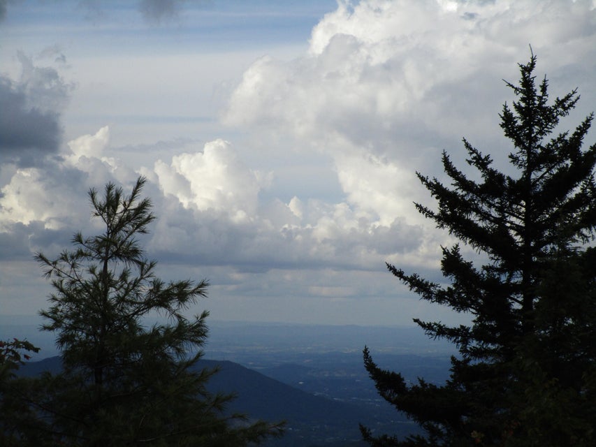 Photo #34: 102 & 100 Wildflower Trail
