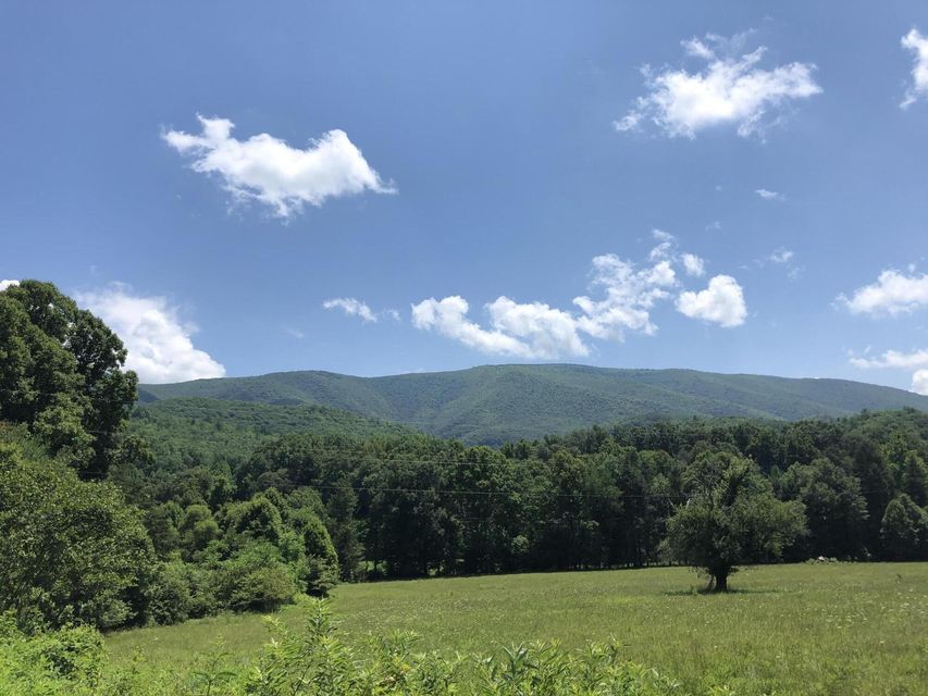 Photo #9: 136 Jackson Road
