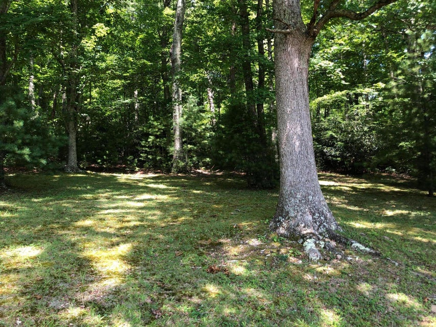 Photo #27: 136 Jackson Road