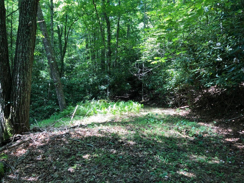 Photo #28: 136 Jackson Road