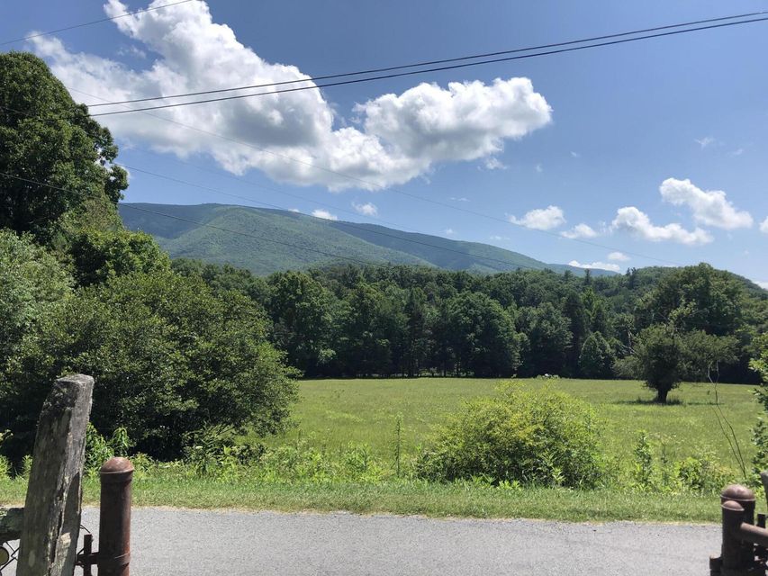Photo #16: 136 Jackson Road