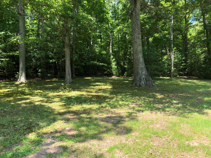 Photo #26: 136 Jackson Road