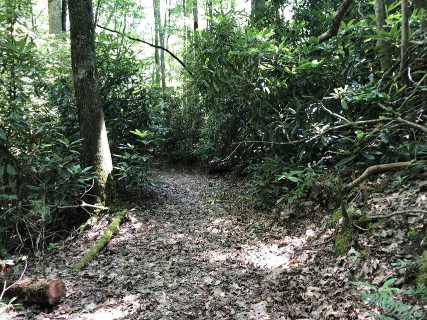 Photo #29: 136 Jackson Road