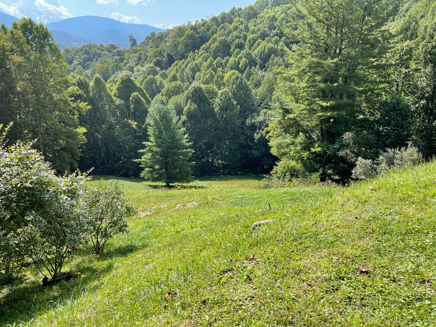 Photo #6: 301 Quail Run Lane