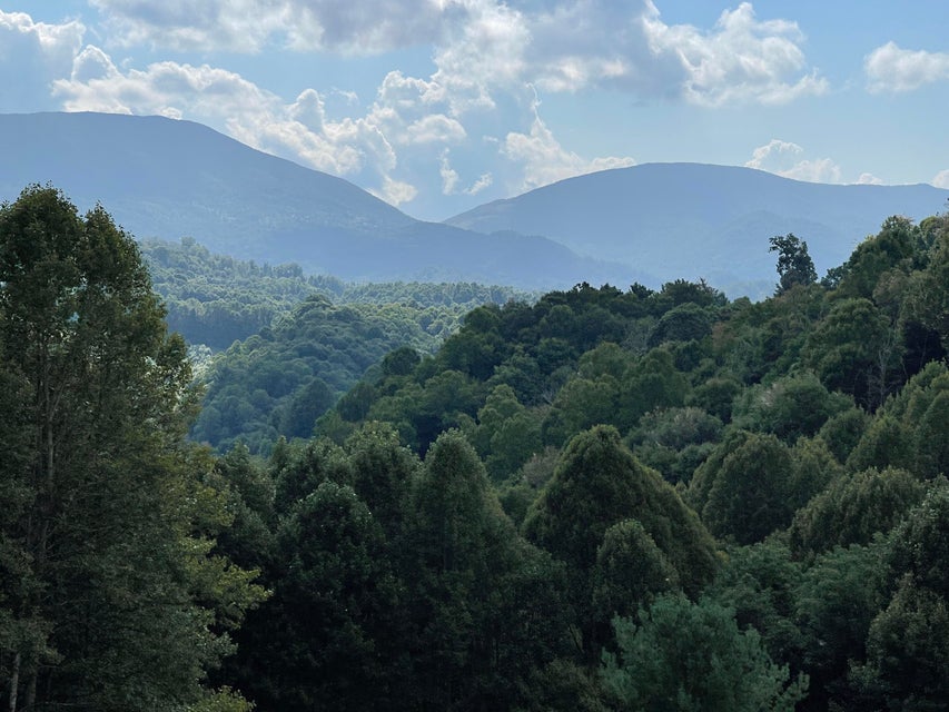 Photo #5: 301 Quail Run Lane