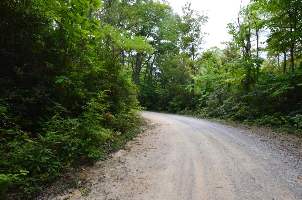 Photo #8: Tbd Dennis Cove Road