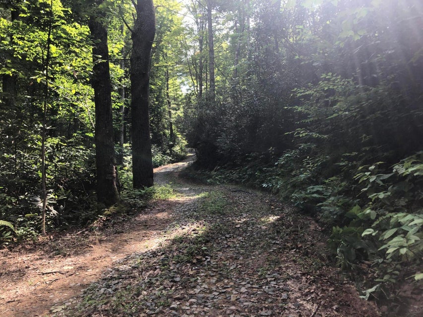 Photo #3: 00 Norton Hollow Road