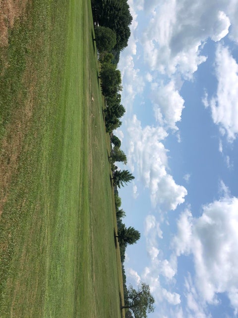 Photo #17: 00 Big Hollow Road