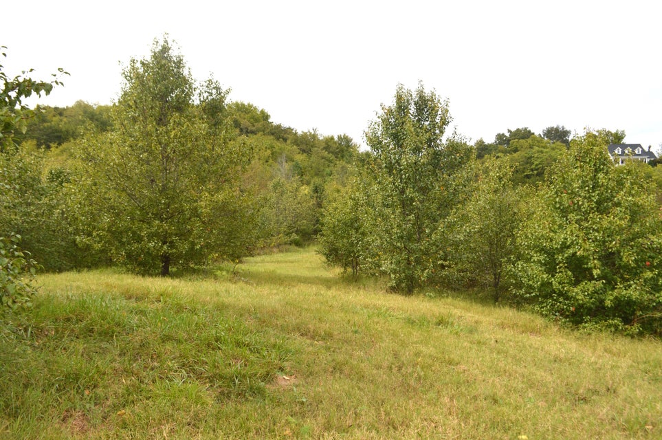 Photo #11: 4710 Little Chuckey Road