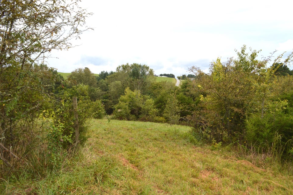Photo #8: 4710 Little Chuckey Road