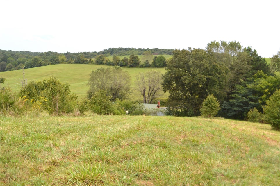 Photo #7: 4710 Little Chuckey Road