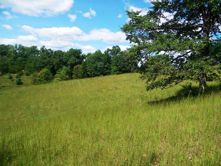 Photo #1: 1629 Shelleys Road