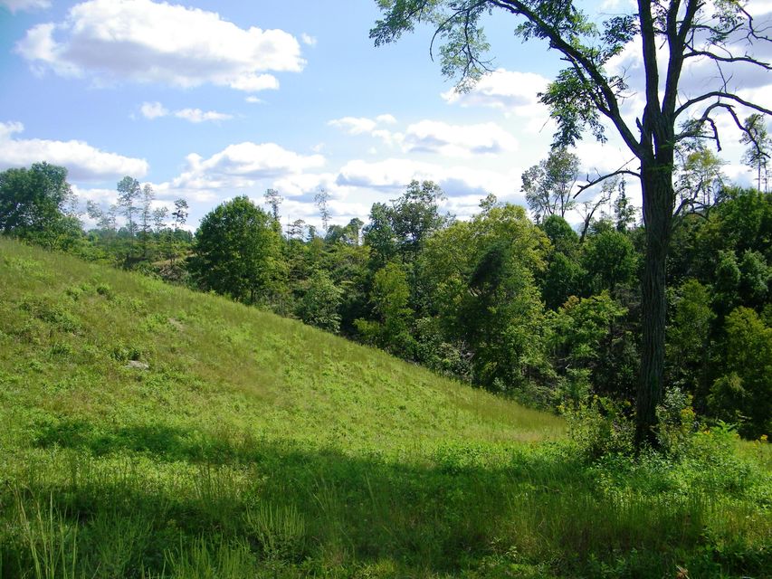 Photo #3: 1629 Shelleys Road