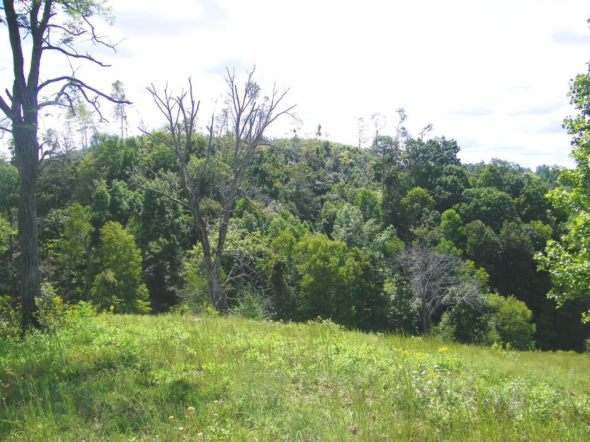 Photo #6: 1629 Shelleys Road