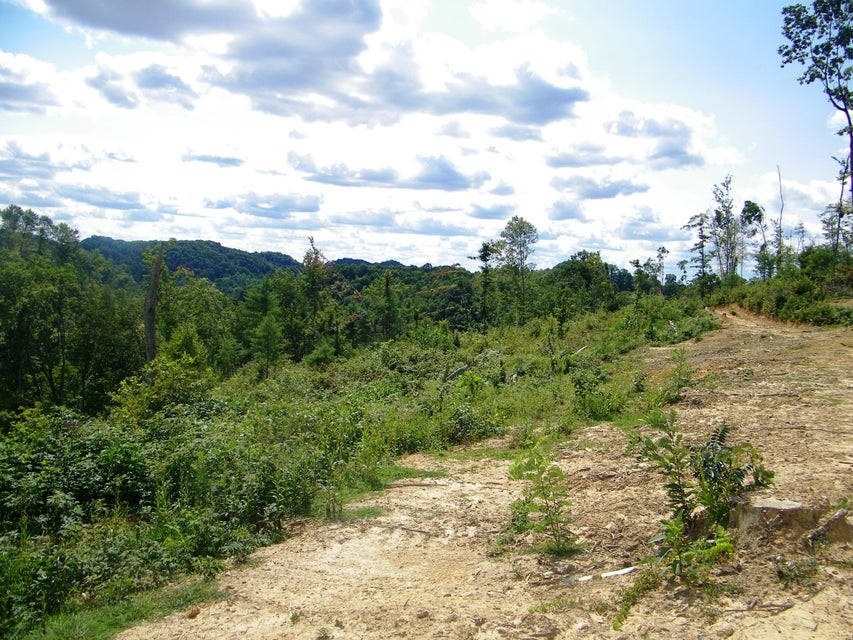Photo #13: 1629 Shelleys Road