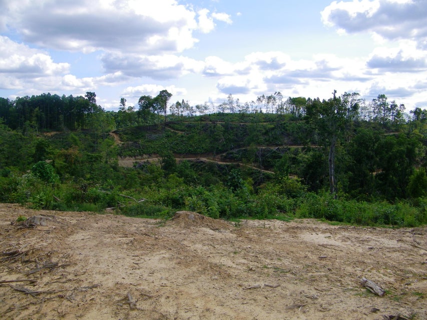 Photo #16: 1629 Shelleys Road
