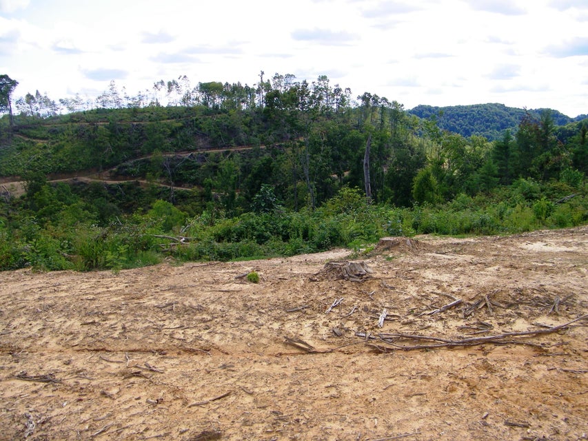 Photo #17: 1629 Shelleys Road