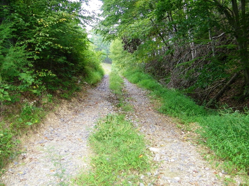 Photo #22: 1629 Shelleys Road