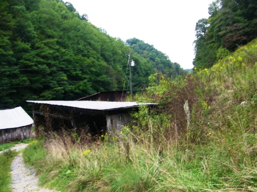 Photo #25: 1629 Shelleys Road
