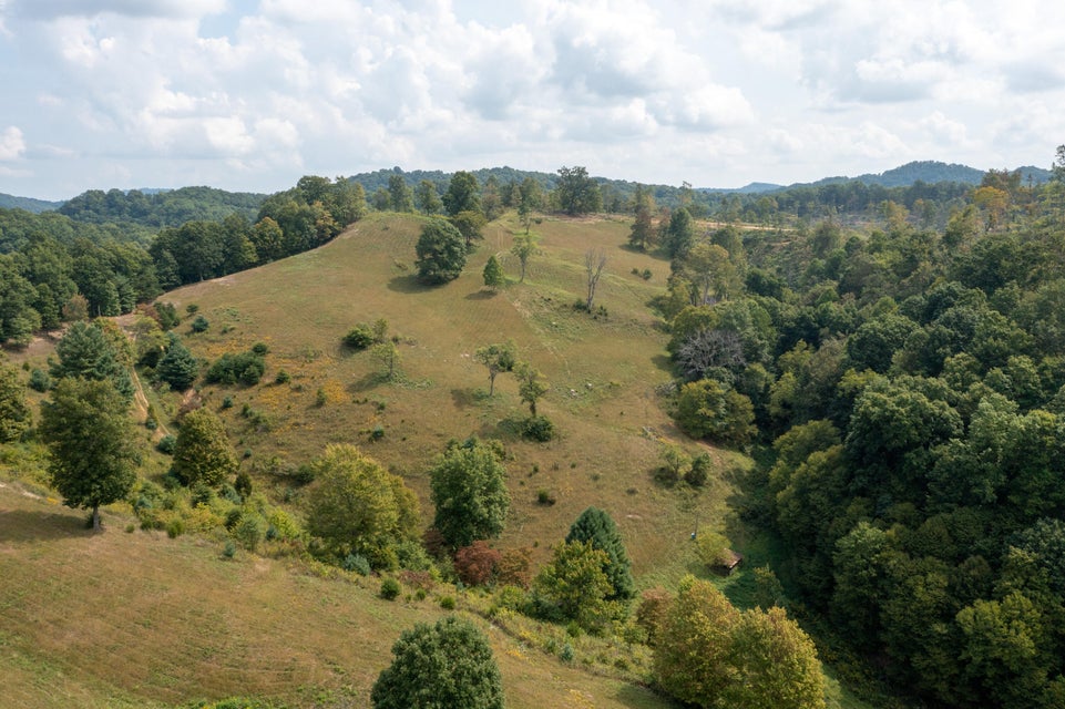 Photo #41: 1629 Shelleys Road