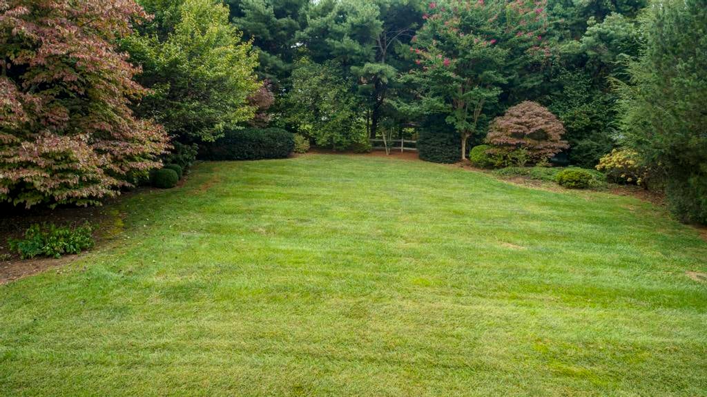 Photo #17: 2002 Millbrook Drive