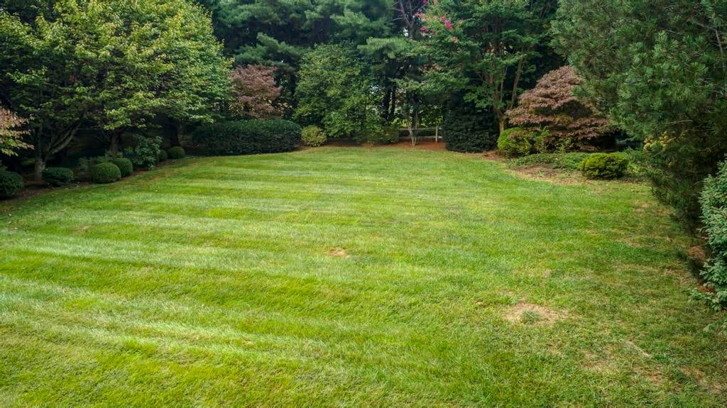 Photo #22: 2002 Millbrook Drive