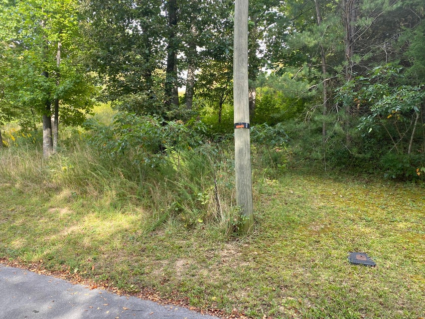 Photo #4: Tbd Sunview Lane