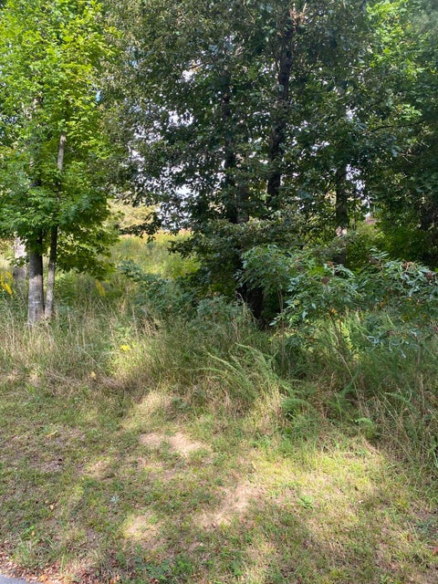 Photo #8: Tbd Sunview Lane