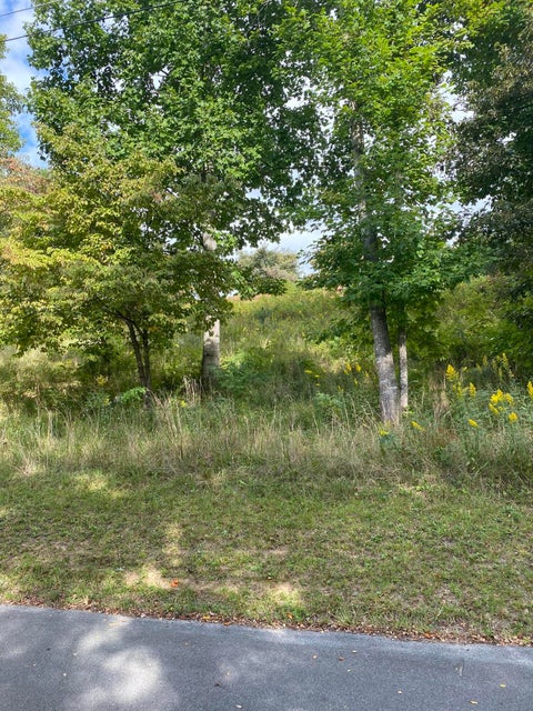 Photo #9: Tbd Sunview Lane