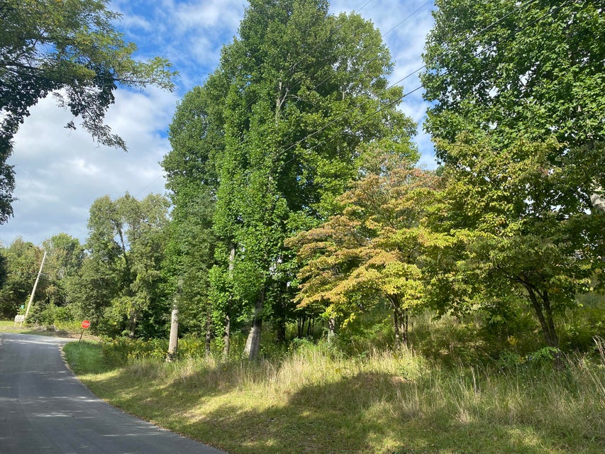 Photo #11: Tbd Sunview Lane