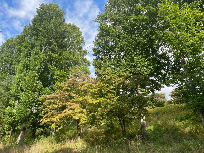 Photo #16: Tbd Sunview Lane