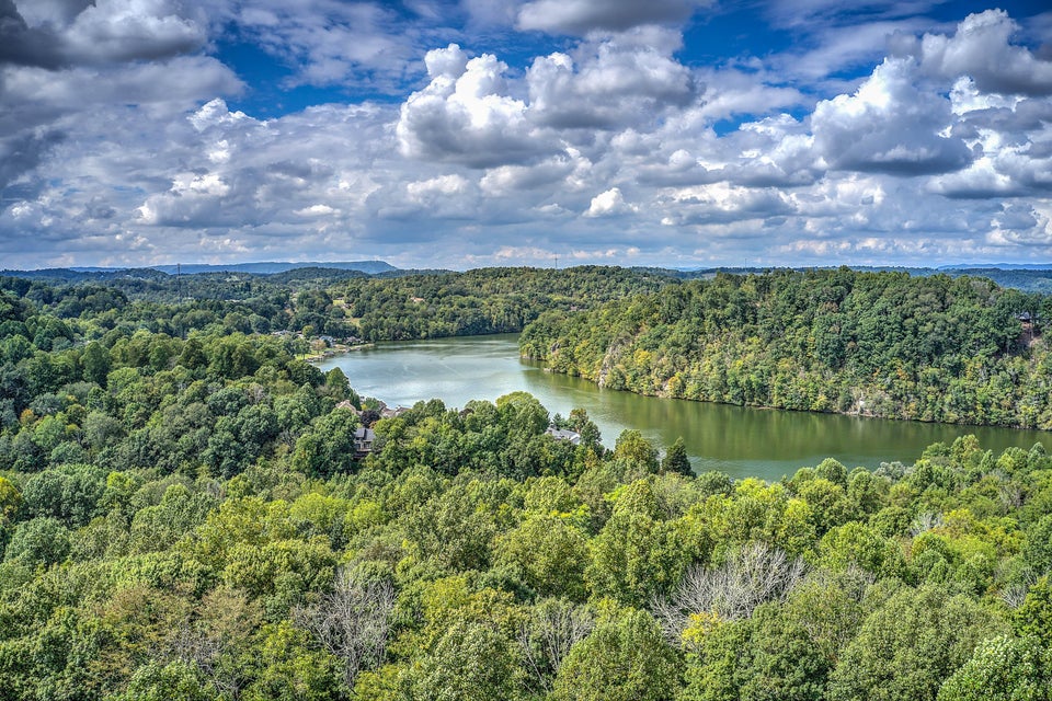 Photo #4: Tbd Lake Forest Drive