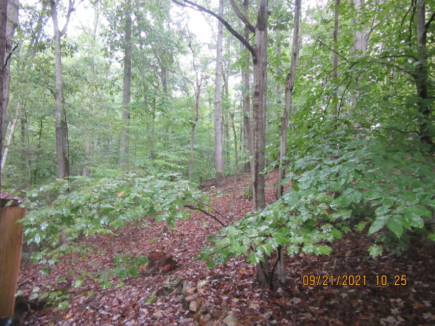 Photo #1: Tbd Blanton Drive