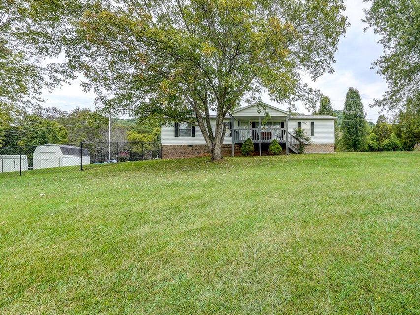 Photo #4: 559 Springdale Drive
