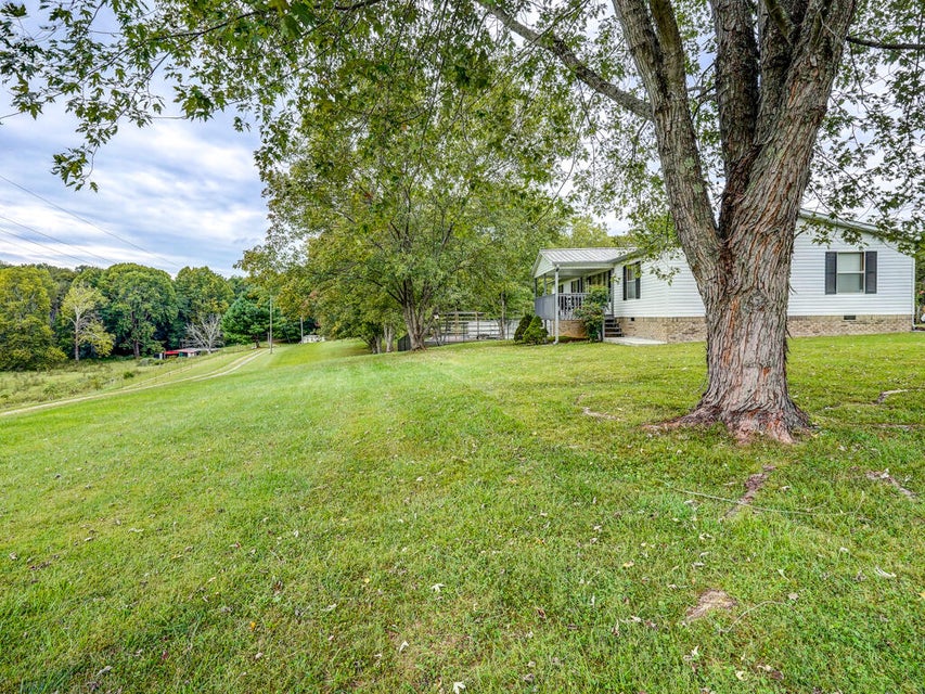 Photo #6: 559 Springdale Drive