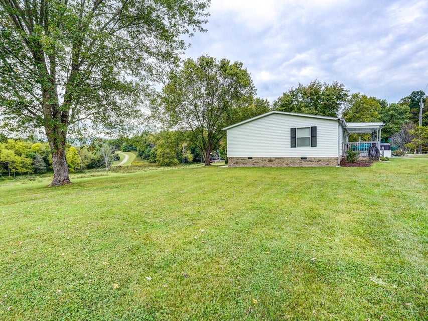 Photo #7: 559 Springdale Drive