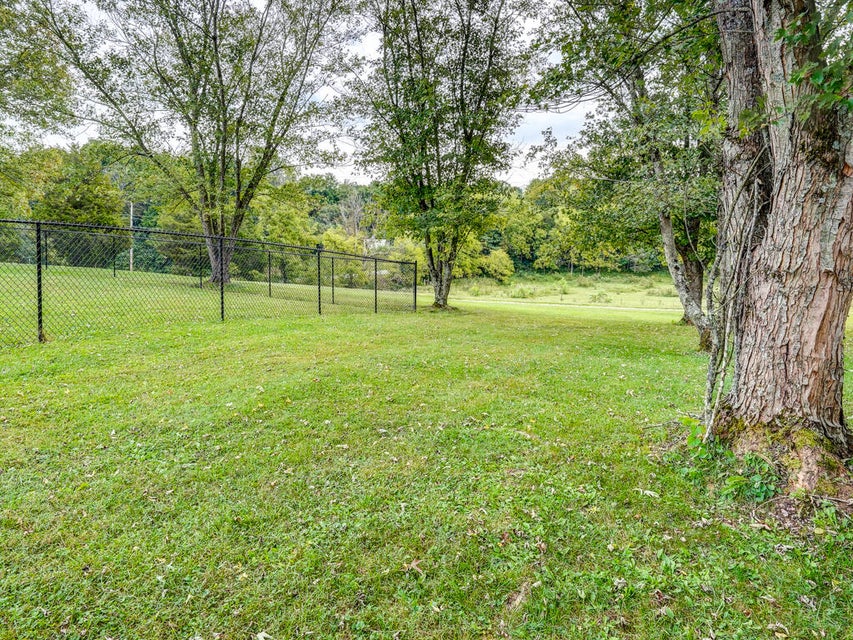 Photo #12: 559 Springdale Drive
