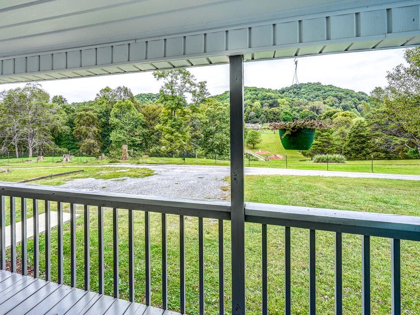 Photo #17: 559 Springdale Drive