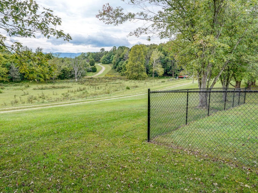 Photo #19: 559 Springdale Drive