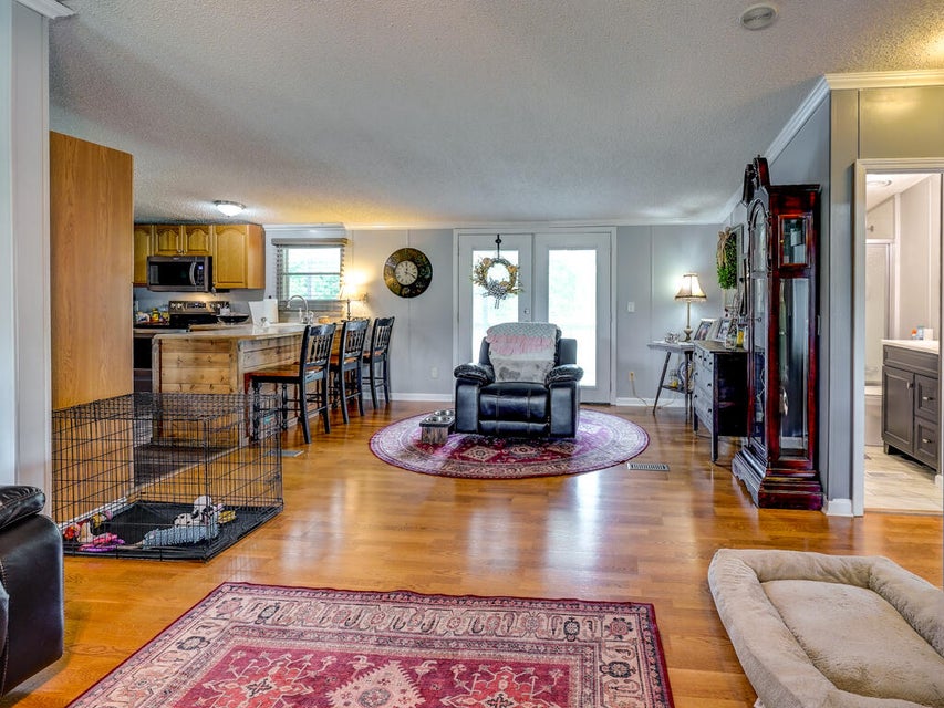 Photo #27: 559 Springdale Drive