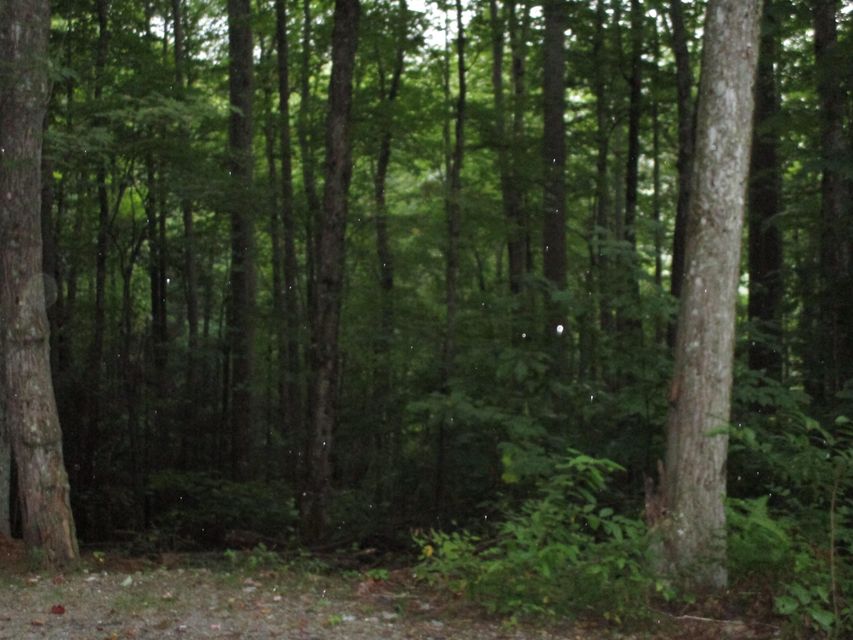 Photo #7: Lot 60 Wilderness Road