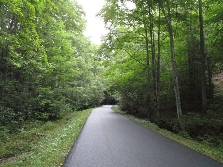 Photo #9: Lot 60 Wilderness Road